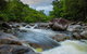 Cape Tribulation Day Tour - thumb 0