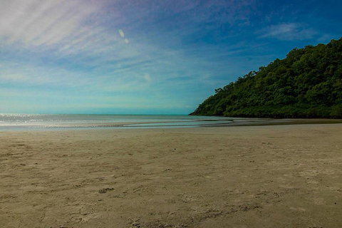 Cape Tribulation Day Tour - Southport Accommodation 2