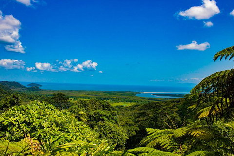 Cape Tribulation Day Tour - Southport Accommodation 3