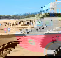 1770 Coastline Tour by LARC Amphibious Vehicle Including Picnic Lunch - Accommodation Southport