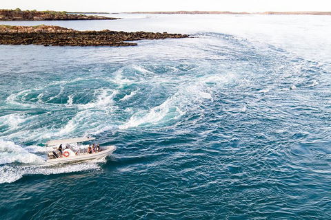 Giant Tides Tour - Cygnet Bay Pearl Farm - Southport Accommodation 4