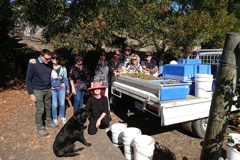 Valleys Of Vino Tour - Southport Accommodation 1