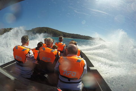 Noosa Thriller - 500hp Ocean Adventure Ride - Southport Accommodation 3