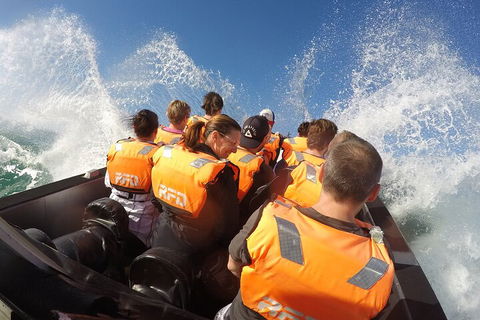 Noosa Thriller - 500hp Ocean Adventure Ride - Southport Accommodation 4