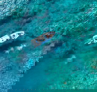 Premium Private Charter - Accommodation Southport