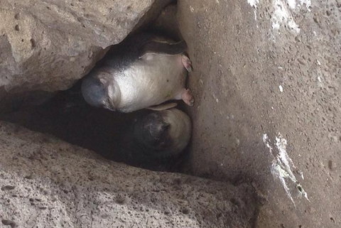 Food Tour Melbourne - St Kilda - Accommodation Southport 3