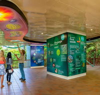 Skyrail  Kuranda Train Day Trip from Cairns - Southport Accommodation