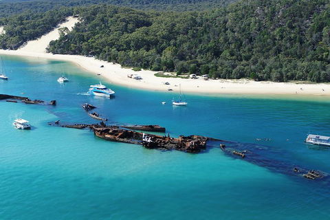 All Inclusive Dolphin And Tangalooma Wrecks Cruise - Southport Accommodation 4