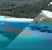 All Inclusive Tangalooma Wrecks Cruise Tour From Gold Coast - Accommodation Southport