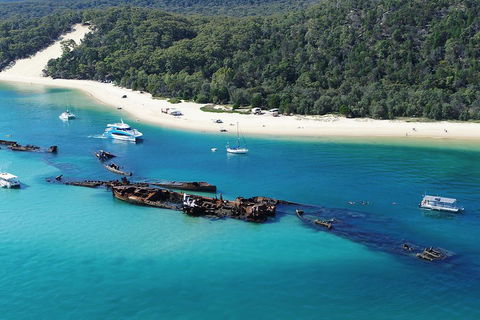 All Inclusive Tangalooma Wrecks Cruise Tour From Gold Coast - Southport Accommodation 0