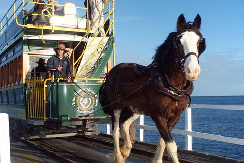 Full-Day Tour In South Australia Highlights - Southport Accommodation 1