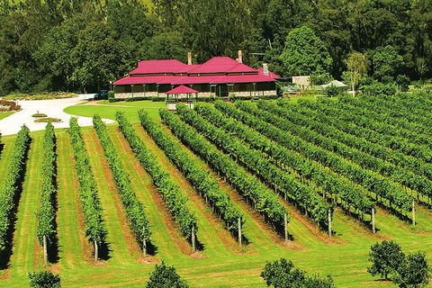 O'Reilly's & Lamington National Park From Gold Coast - Southport Accommodation 2