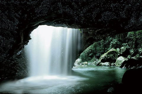 Natural Bridge Glow Worm Night Tour From Gold Coast - Southport Accommodation 0