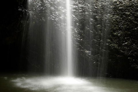 Natural Bridge Glow Worm Night Tour From Gold Coast - Southport Accommodation 2