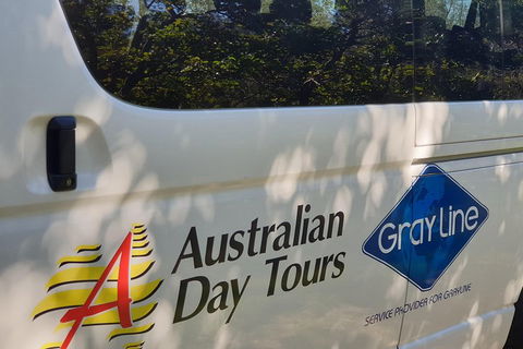 Natural Bridge Glow Worm Night Tour From Gold Coast - Southport Accommodation 5