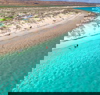 Ningaloo in a Day - Full Day Hike and Snorkel Tour with Lunch - Accommodation Southport