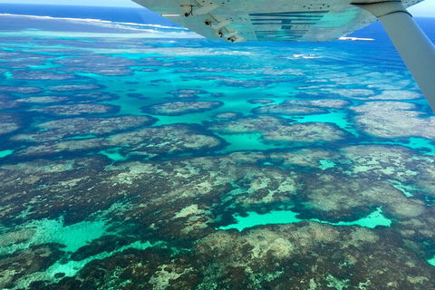 Shipwreck Special Full Day Tour Of The Abrolhos Islands - Southport Accommodation 1