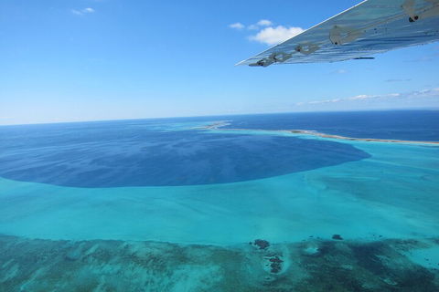 Shipwreck Special Full Day Tour Of The Abrolhos Islands - Southport Accommodation 2