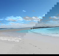 Shipwreck Special Nature Tour/Half Day Tour - Southport Accommodation