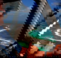 Abrolhos Islands Fixed-Wing Scenic Flight - Southport Accommodation