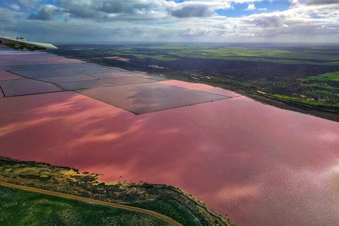 Kalbarri, Pink Lake And Abrolhos Islands Nature Tour - Southport Accommodation 1