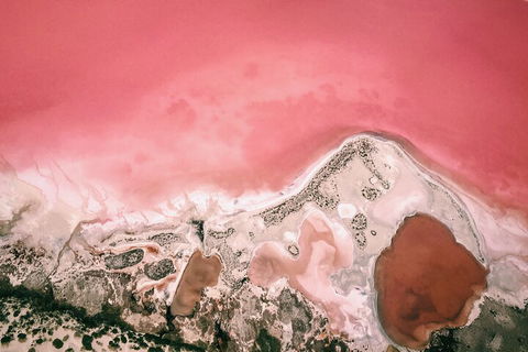 Kalbarri, Pink Lake And Abrolhos Islands Nature Tour - Southport Accommodation 2