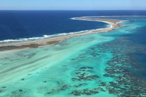 Kalbarri, Pink Lake And Abrolhos Islands Nature Tour - Southport Accommodation 3