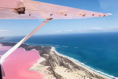 Kalbarri, Pink Lake And Abrolhos Islands Nature Tour - Southport Accommodation 4