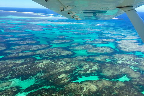 Kalbarri, Pink Lake And Abrolhos Islands Nature Tour - Southport Accommodation 5