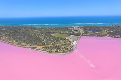 Pink Lake + Abrolhos Islands Nature Tour - Accommodation Southport 4