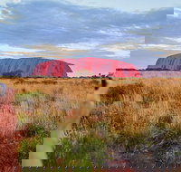 Uluru Ayers Rock Sunset with Outback Barbecue Dinner and Star Tour - Southport Accommodation