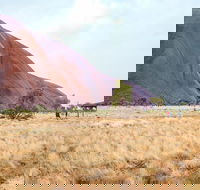 Uluru Sunrise and Guided Base Walk - Southport Accommodation