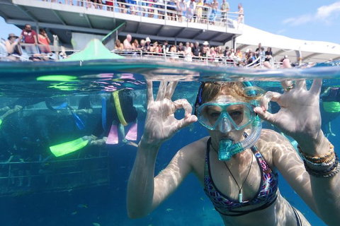 Great Barrier Reef Day Cruise From Cairns Including Snorkeling And Marine Biologist Presentation - Southport Accommodation 0