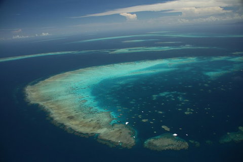 Great Barrier Reef Day Cruise From Cairns Including Snorkeling And Marine Biologist Presentation - Southport Accommodation 1