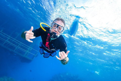 Great Barrier Reef Day Cruise From Cairns Including Snorkeling And Marine Biologist Presentation - Southport Accommodation 3