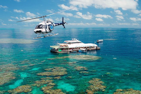 Great Barrier Reef Day Cruise From Cairns Including Snorkeling And Marine Biologist Presentation - Southport Accommodation 5