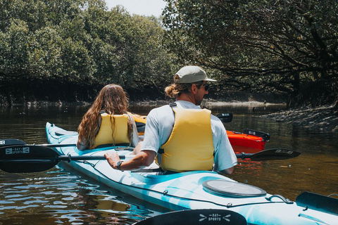 Kayak Tour In Adelaide Dolphin Sanctuary - Southport Accommodation 2