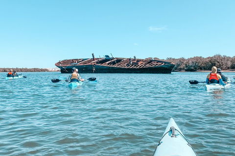 Kayak Tour In Adelaide Dolphin Sanctuary - Southport Accommodation 3