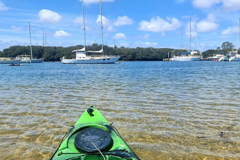 Kayak Tour In Adelaide Dolphin Sanctuary - Southport Accommodation 4