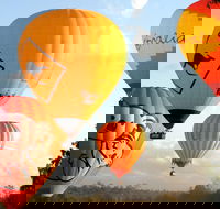 Natural Bridge  Springbrook Waterfalls Tour  Hot Air Balloon with Breakfast - Southport Accommodation