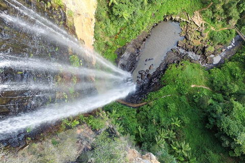 Natural Bridge & Springbrook Waterfalls Tour + Hot Air Balloon With Breakfast - Southport Accommodation 1
