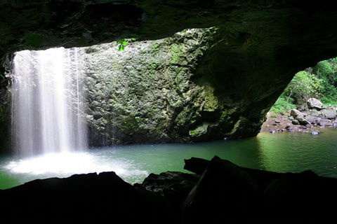 Natural Bridge & Springbrook Waterfalls Tour + Hot Air Balloon With Breakfast - Southport Accommodation 2