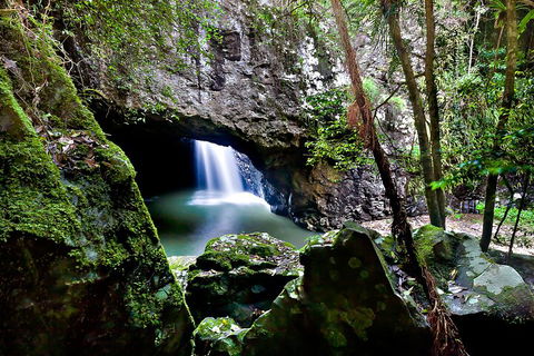 Natural Bridge & Springbrook Waterfalls Tour + Hot Air Balloon With Breakfast - Southport Accommodation 4