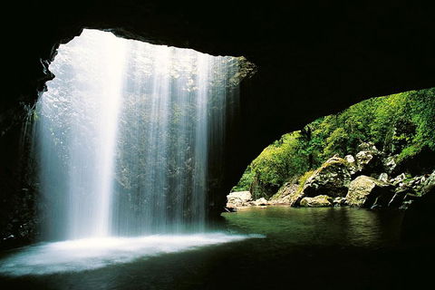 Natural Bridge & Springbrook Waterfalls Tour - Southport Accommodation 0