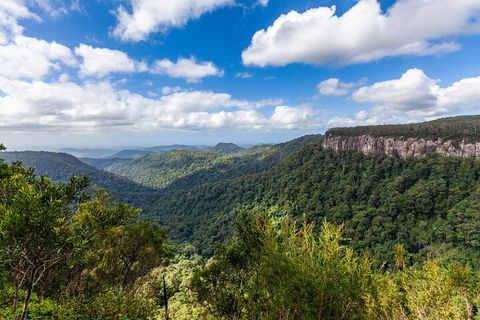 Natural Bridge & Springbrook Waterfalls Tour - Southport Accommodation 1