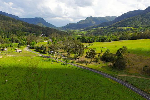 Natural Bridge & Springbrook Waterfalls Tour - Southport Accommodation 2