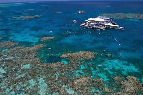 Ultimate 3-Day Great Barrier Reef Cruise Pass - Southport Accommodation 3