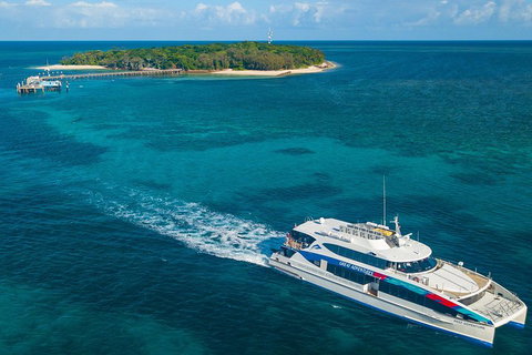 Ultimate 3-Day Great Barrier Reef Cruise Pass - Southport Accommodation 4