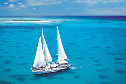 Ultimate 3-Day Great Barrier Reef Cruise Pass - Southport Accommodation 5