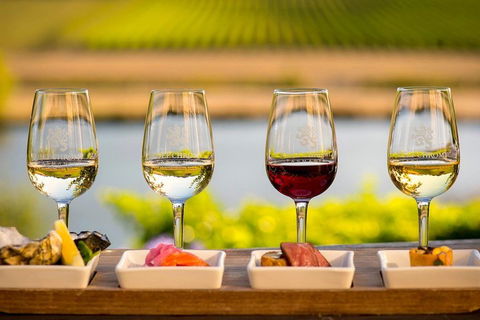 West Tamar Wine Tour - Southport Accommodation 1